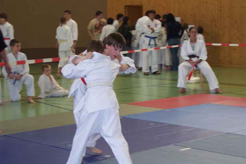 n_Bild 006.jpg